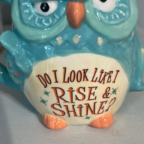 Cracker Barrel Stoneware Coffee Cup Owl Rise Shine Mug - Picture 10 of 10